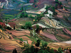 Art Wolfe: Rice Terraces 1,000 Piece Puzzle - Gootzy Gaming