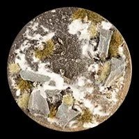 Battle Ready Bases - Winter Hinterland 32mm Round - Gamers Grass - 8 Hand Crafted Bases - Gootzy Gaming