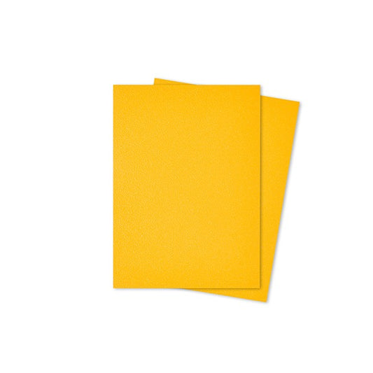 Arcane Fortress Standard Matte Card Sleeves (100 Ct): Dynasty - Sun Gold