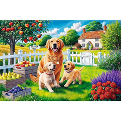 Dog's in the Countryside 300 Piece Puzzle - Gootzy Gaming