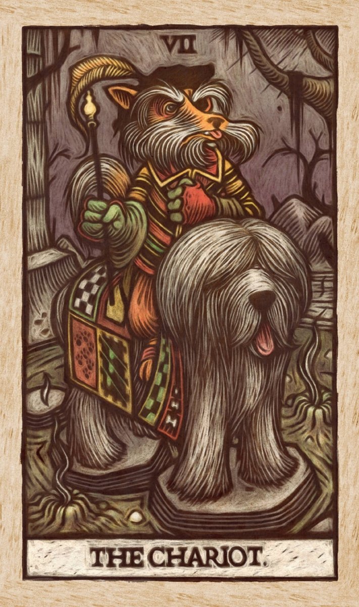 Labyrinth Tarot Deck and Guidebook - Gootzy Gaming