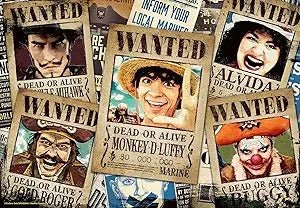 One Piece: Wanted Posters 300 Piece Puzzle - Gootzy Gaming