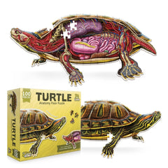 Turn N Learn: Turtle 100 Piece Anatomy Floor Puzzle - Gootzy Gaming