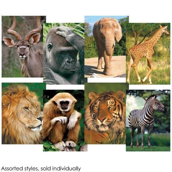 Wildlife Zoo Safari 54 Piece Mini Puzzles (Designs May Vary) - Gootzy Gaming