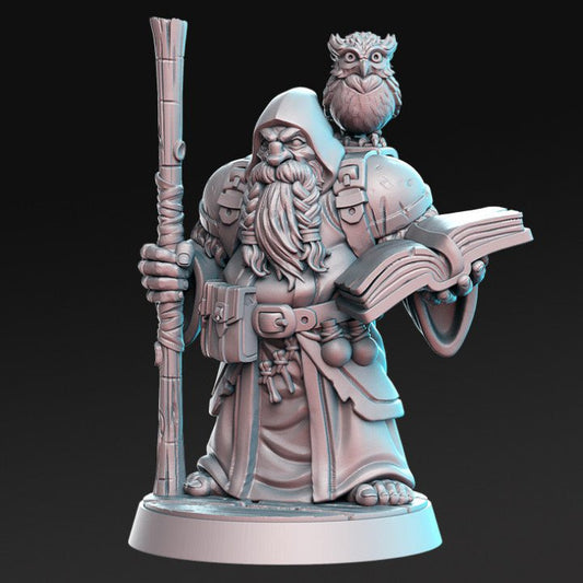 Drammi, Dwarf Mage with Owl Companion - Single Roleplaying Miniature for D&D or Pathfinder - 32mm Scale Resin 3D Print - RN EStudios - Gootzy Gaming