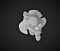 Female Human Recon Miniature - SW Legion Compatible (38 - 40mm tall) Resin 3D Print - Gootzy Gaming - Gootzy Gaming