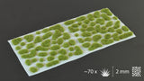 Grass Tufts - Dry Green 2mm - Gamers Grass - 70x Self Adhesives - Gootzy Gaming