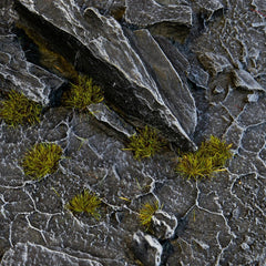 Grass Tufts - TINY Dark Moss 2mm Small - Gamers Grass - 500x Self - Adhesives - Gootzy Gaming