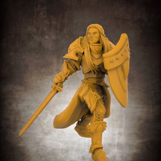 Human Female Paladin Knight- Roleplaying Mini for D&D or Pathfinder - 32mm Scale High Quality 8k Resin 3D Print - Lion Tower Miniatures - Gootzy Gaming