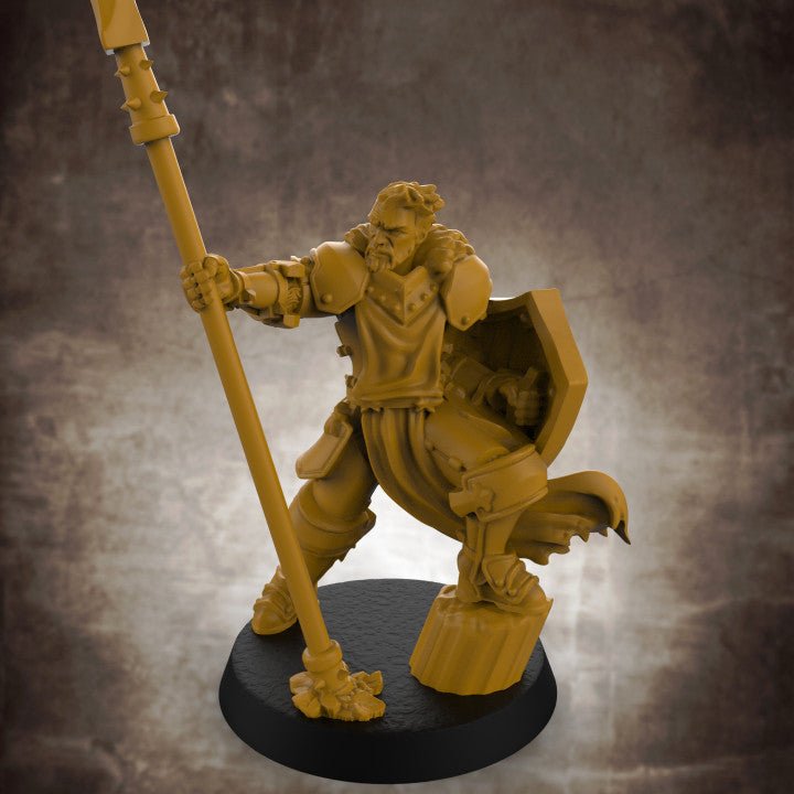Human Male Paladin with Spear and Shield - Roleplaying Mini for D&D or Pathfinder - 32mm Scale High Quality 8k Resin 3D Print - Lion Tower Miniatures - Gootzy Gaming