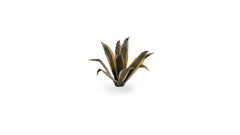 Laser Plants - Agave - Gamers Grass - 70 Plastic Folding Plants - Gootzy Gaming