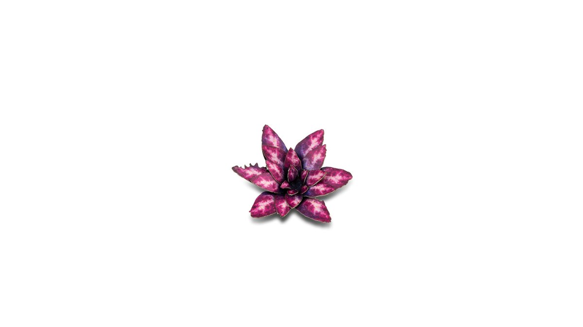 Laser Plants - Alien Rosette - Gamers Grass - 47 Plastic Folding Plants - Gootzy Gaming