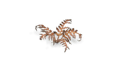 Laser Plants - Dry Bracken - Gamers Grass - 26 Plastic Folding Plants - Gootzy Gaming
