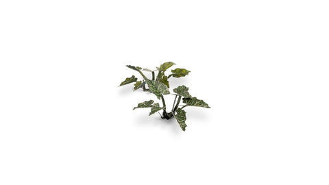 Laser Plants - Lords - and - Ladies - Gamers Grass - 103 Plastic Folding Plants - Gootzy Gaming