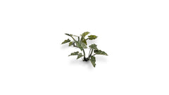 Laser Plants - Lords - and - Ladies - Gamers Grass - 103 Plastic Folding Plants - Gootzy Gaming