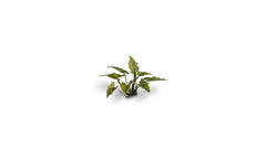 Laser Plants - Lords - and - Ladies - Gamers Grass - 103 Plastic Folding Plants - Gootzy Gaming