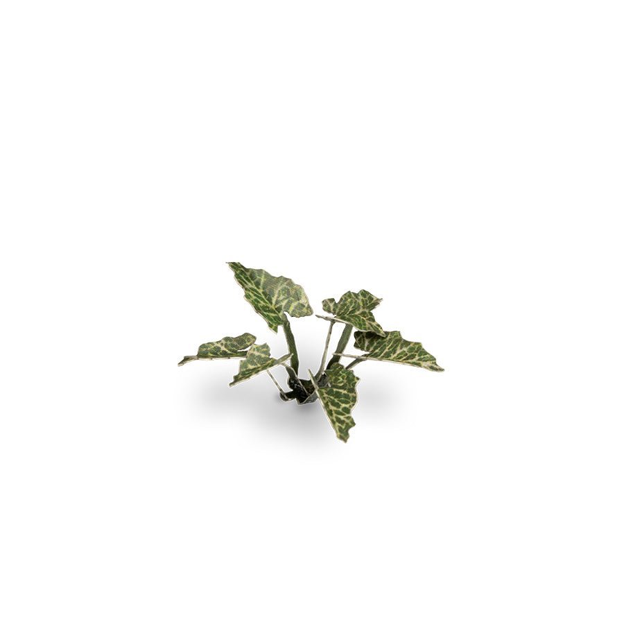 Laser Plants - Lords - and - Ladies - Gamers Grass - 103 Plastic Folding Plants - Gootzy Gaming