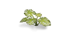 Laser Plants - Monstera - Gamers Grass - 47 Plastic Folding Plants - Gootzy Gaming