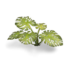 Laser Plants - Monstera - Gamers Grass - 47 Plastic Folding Plants - Gootzy Gaming