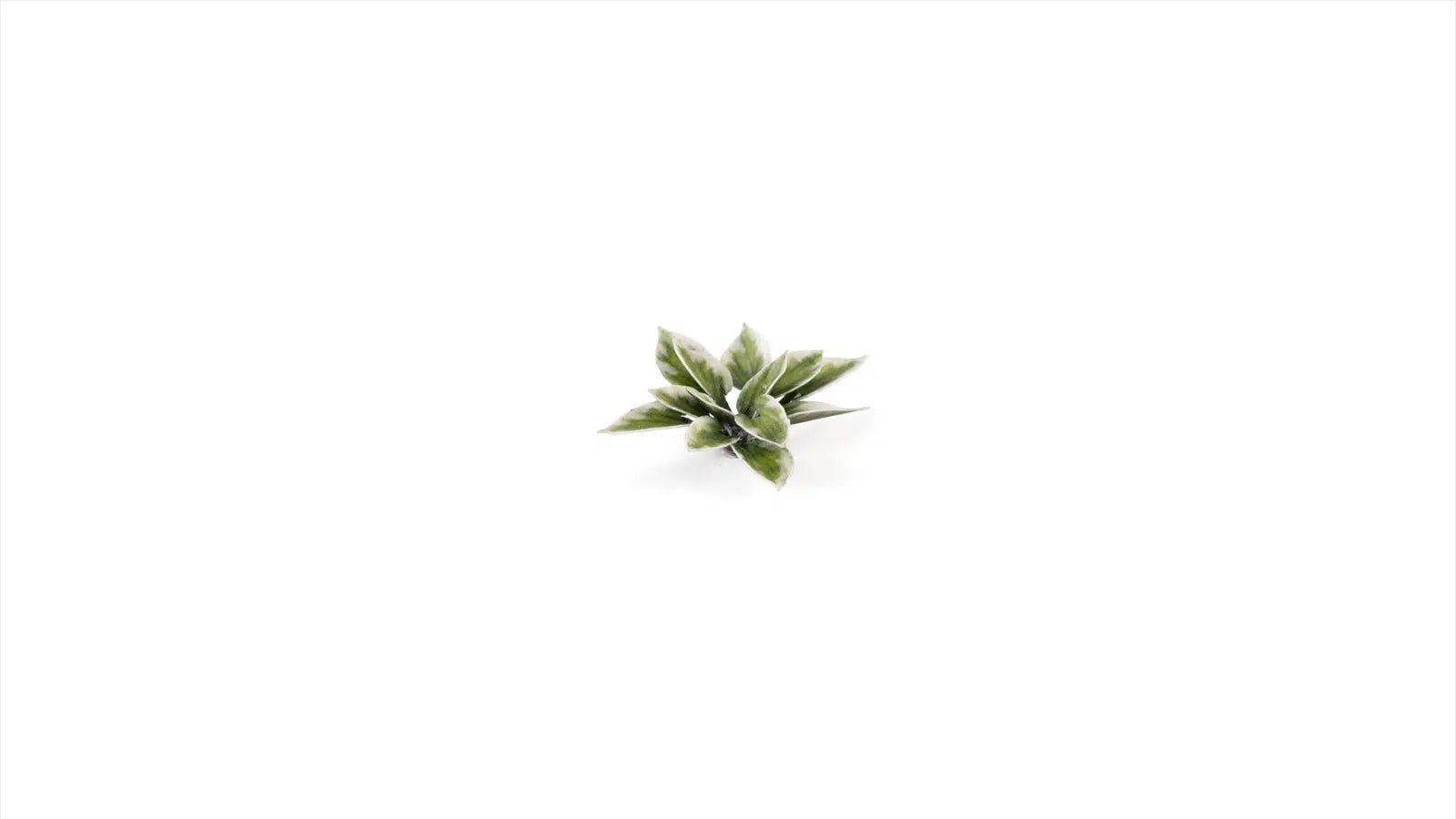 Laser Plants - Plantain Lily - Gamers Grass - 57 Plastic Folding Plants - Gootzy Gaming