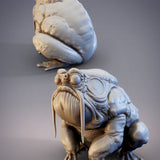 Numa No An Frog Monster Swamp Hermit - Large Single Roleplaying Miniature for D&D or Pathfinder - 32mm Scale Resin 3D Print - Cobramode - Gootzy Gaming