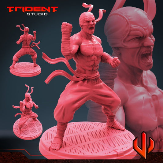 Steel Fist Karate Master (Version A) miniature - MCP/Crisis Protocol Compatible (40mm tall) Resin 3D Print - Trident Studios - Gootzy Gaming
