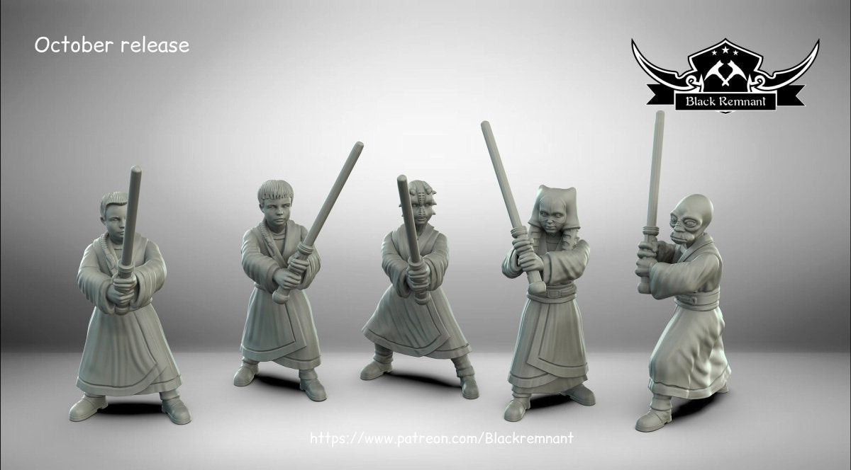 Young Academy Wizard Learner Miniature - SW Legion Compatible (38-40mm tall) Multi-Piece Resin 3D Print - Black Remnant - Gootzy Gaming